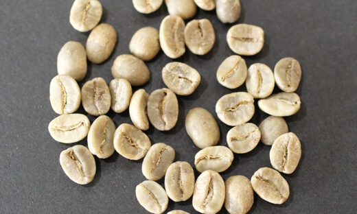 コーヒー生豆の素顔